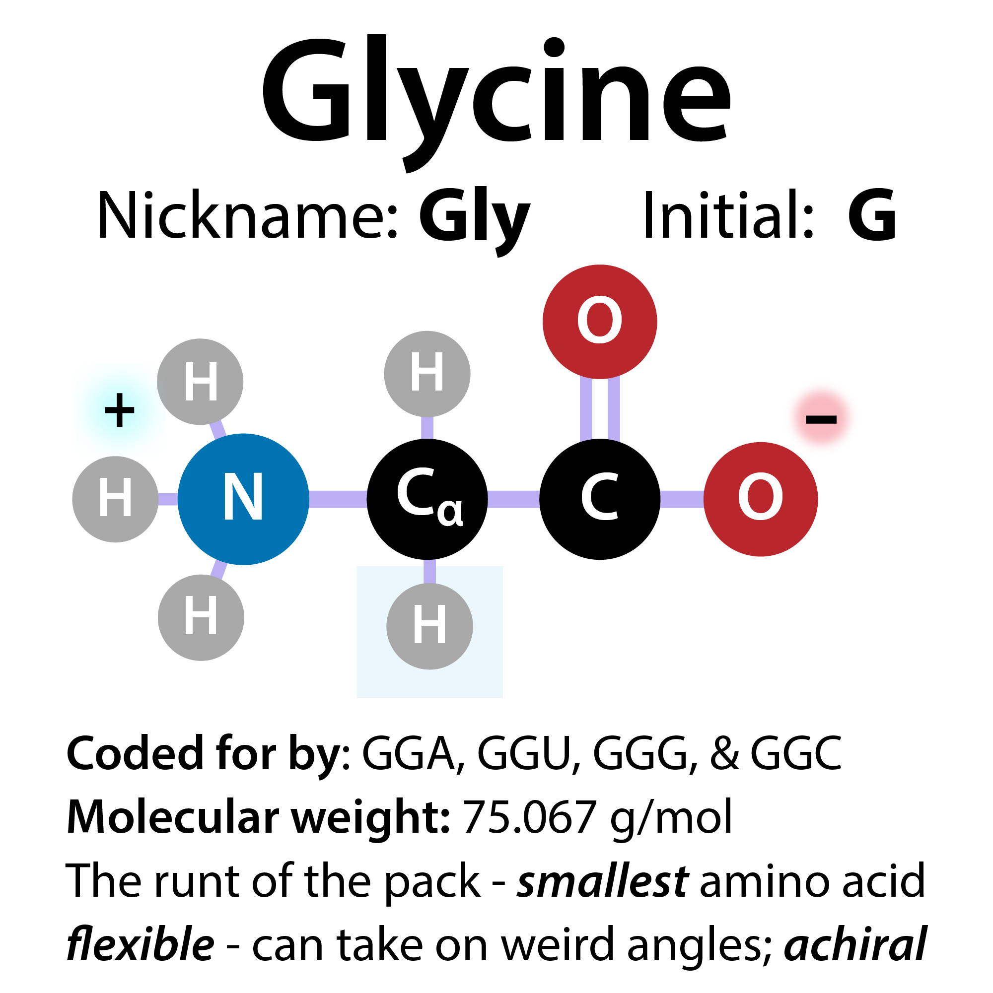 Glycine and early protein chemistry research